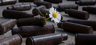 Fleuriste A fleur de pot